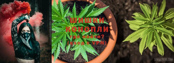 гашиш Володарск