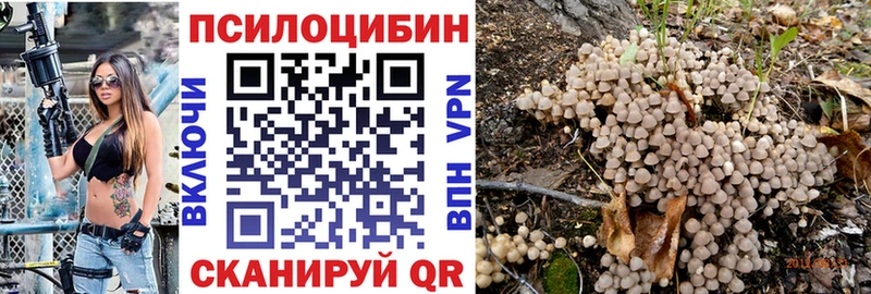 как найти   Приволжский  kraken ссылки  Псилоцибиновые грибы Psilocybe 